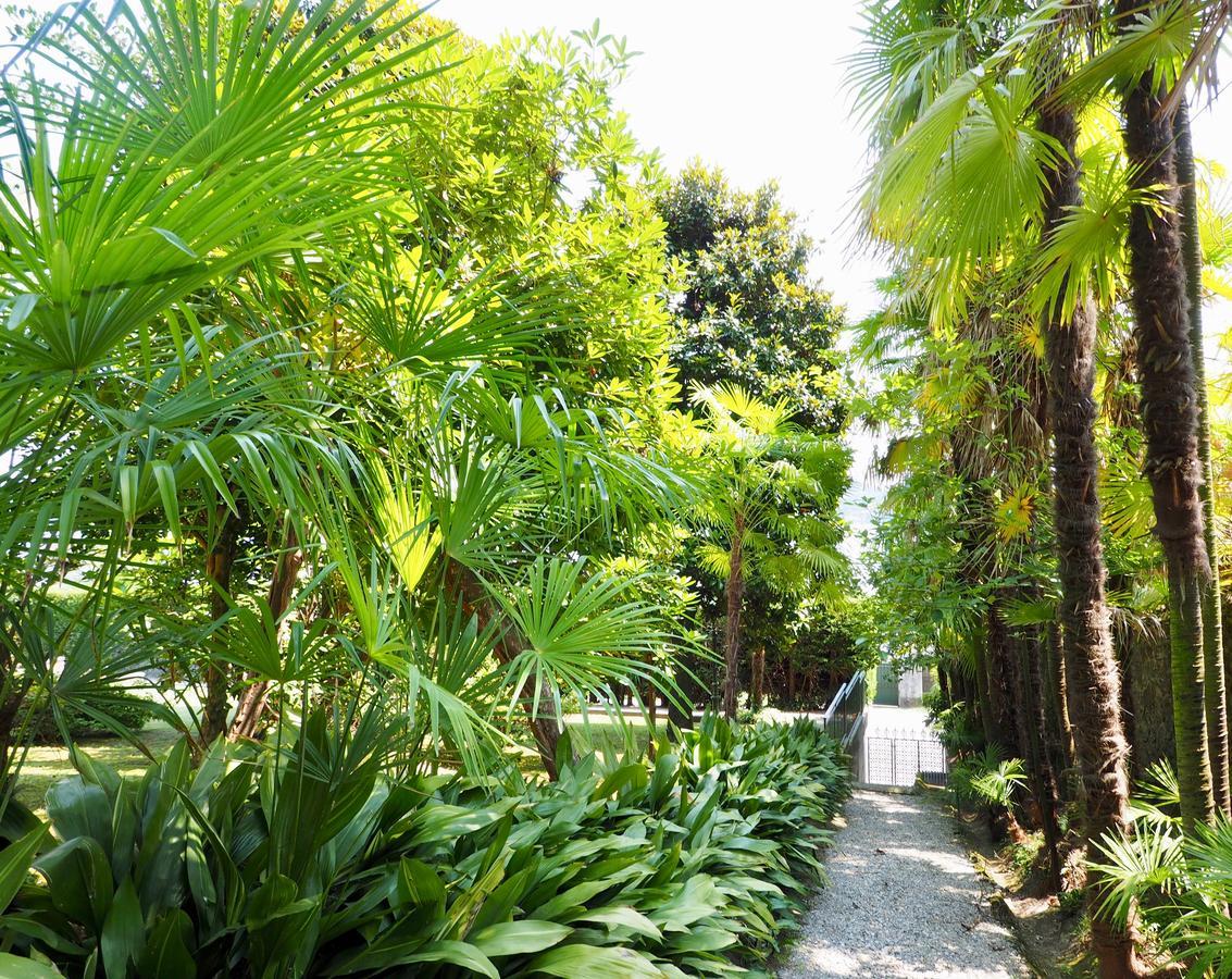 Casa Mondadori Bed & Breakfast Meina Exterior foto